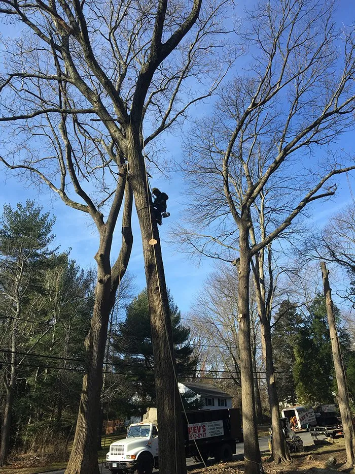 Local landscape design in Westbury, NY - Kev's Landscaping & Tree Service