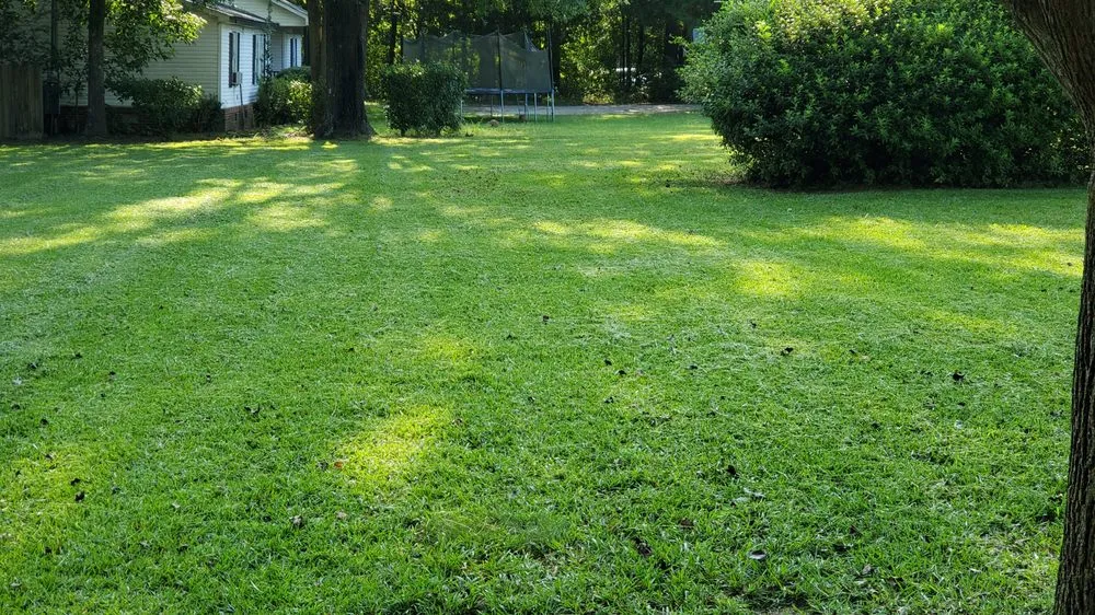 Expert yard cleanup service for outdoor upgrades across North Augusta, SC - Key & Chinn Lawn Care
