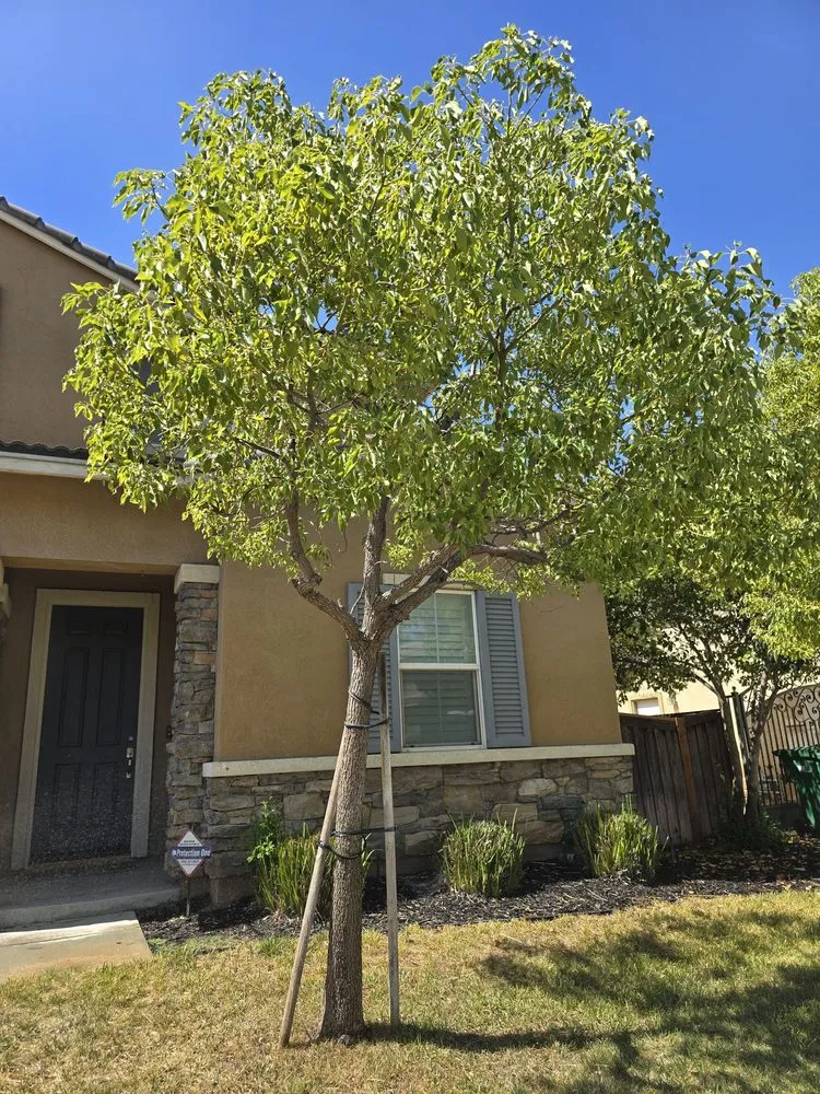 Reliable residential landscaping for residential properties across Beaumont, CA - Key Landscape