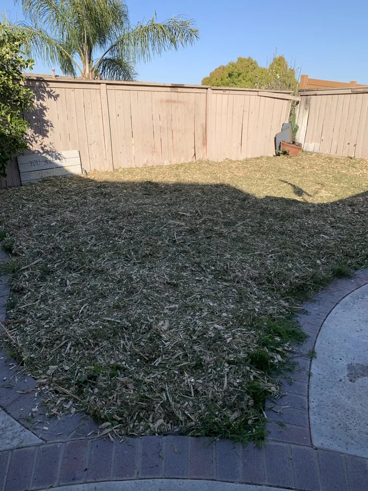 Affordable landscape installation experts serving Beaumont, CA - Key Landscape