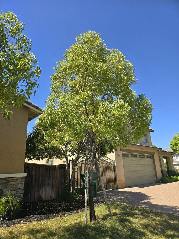 Reliable outdoor landscaping with custom design in Beaumont, CA by Key Landscape