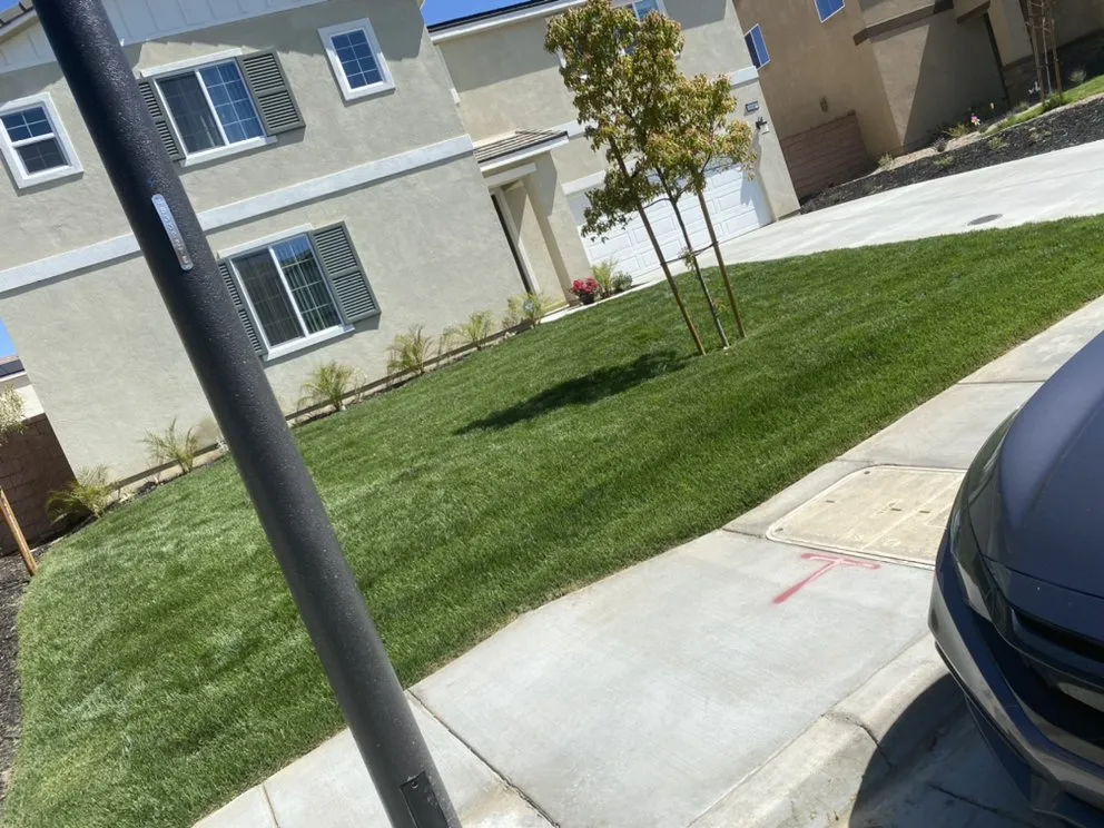 Top-rated landscape design experts serving Beaumont, CA - Key Landscape