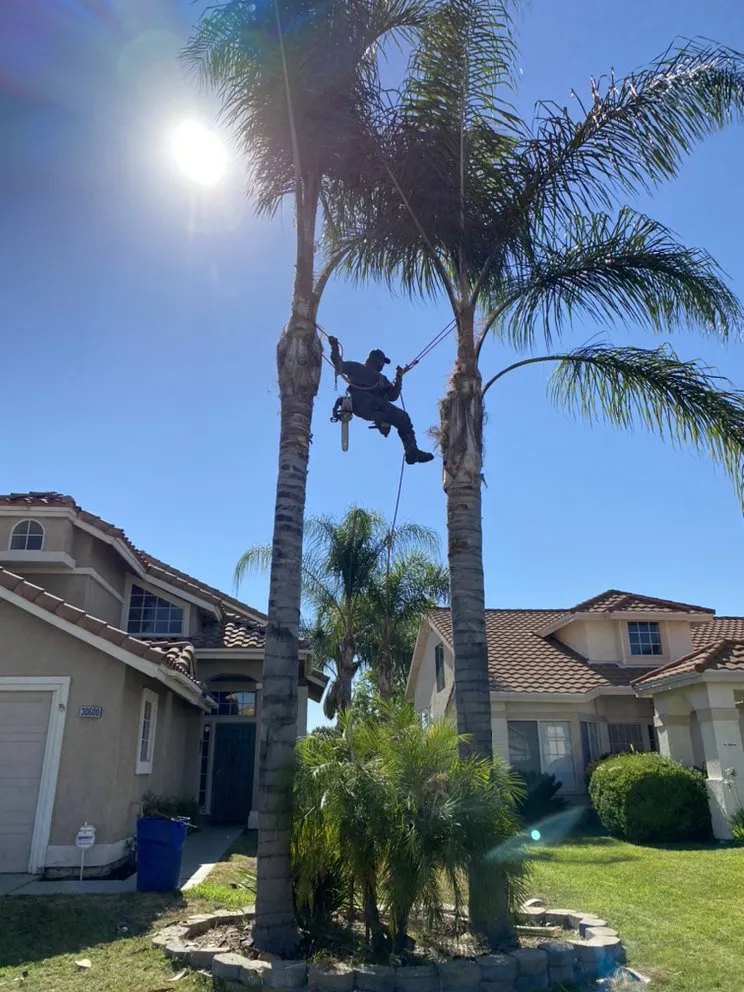 Affordable landscaping services in Beaumont, CA - Key Landscape