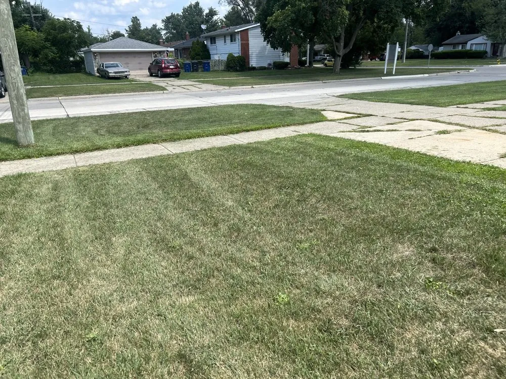 Reliable landscape design experts serving Ypsilanti, MI - Key To The Top Enterprise