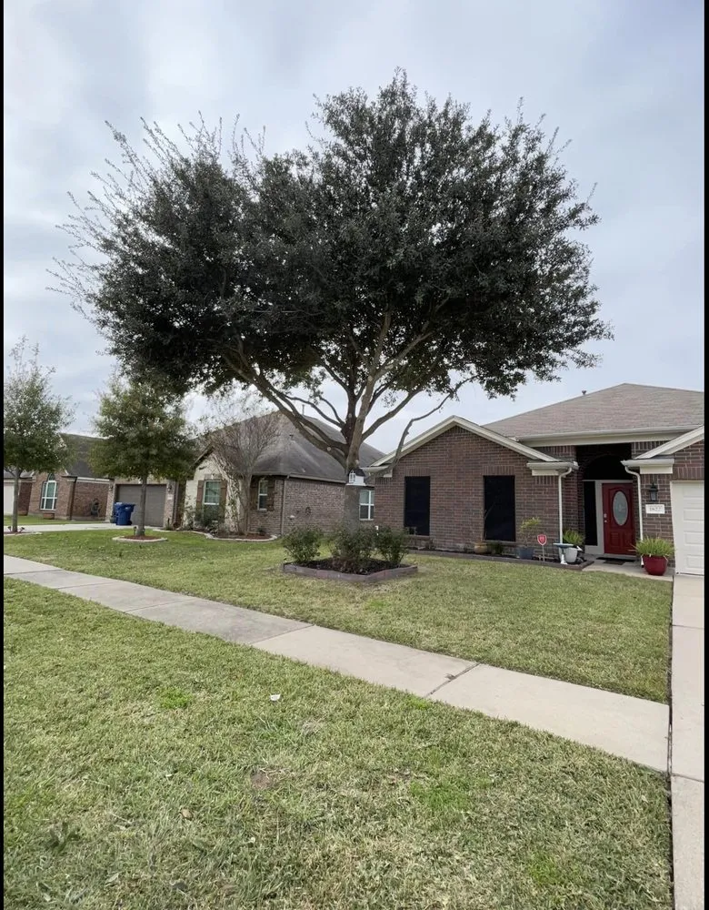 Custom yard maintenance in Clodine, TX - Keycuts G.S