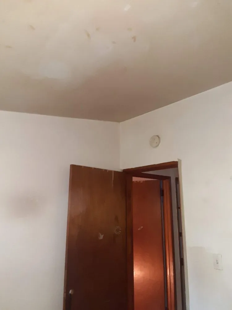 Top-rated outdoor landscaping experts serving Champaign, IL - KeyMo's Care