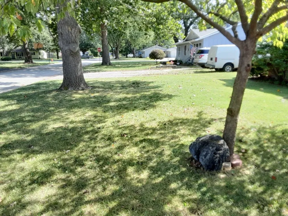 Local landscaping services near you across Champaign, IL - KeyMo's Care