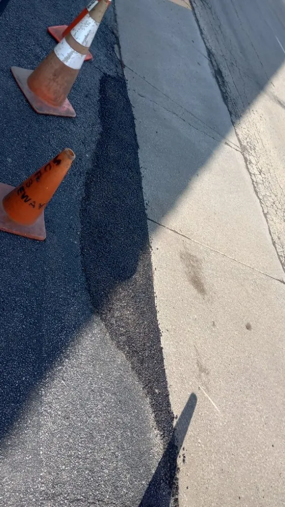 Affordable yard cleanup service in Champaign, IL by KeyMo's Care