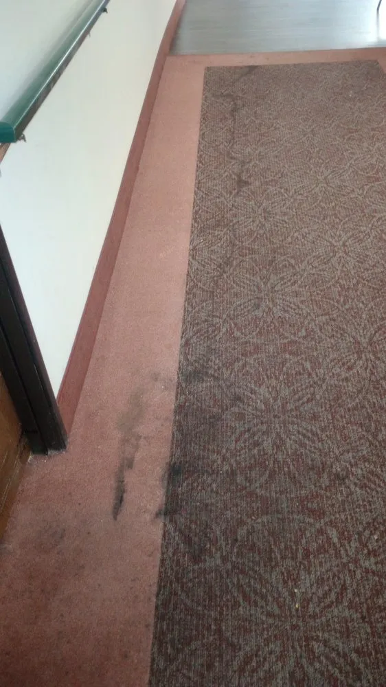 Affordable lawn mowing service experts serving Champaign, IL - KeyMo's Care