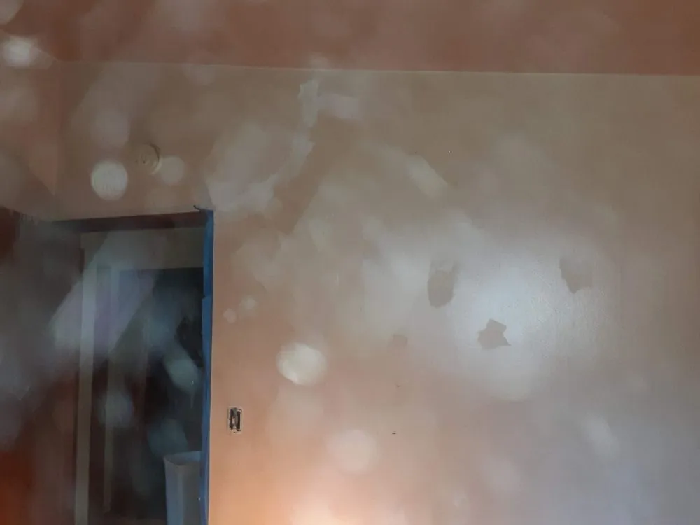 Local yard cleanup service experts serving Champaign, IL - KeyMo's Care