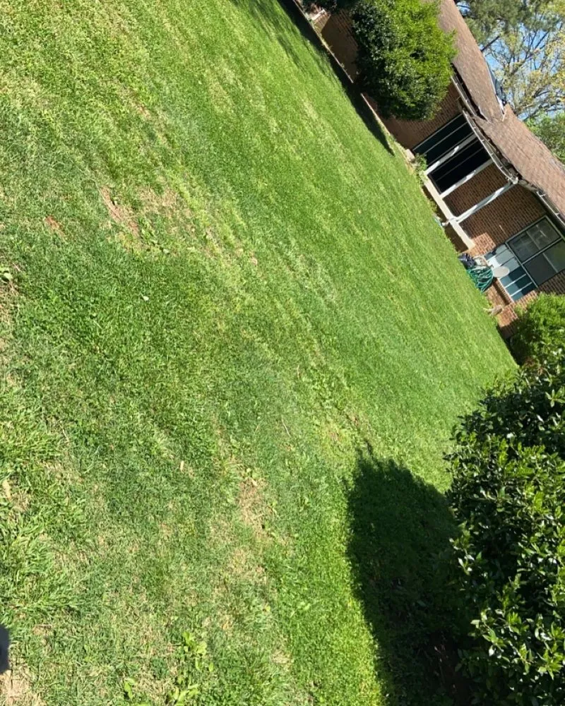 Custom yard maintenance near you in Clarksville, TN by Keys Kuts