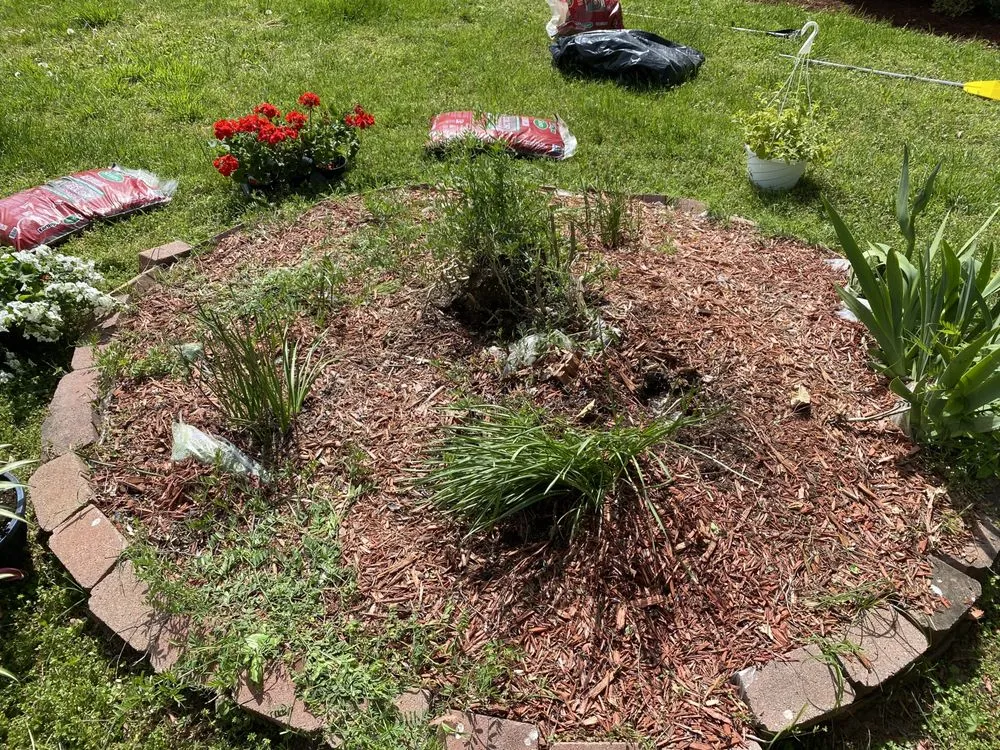 Expert lawn care service in Clarksville, TN by Keys Kuts