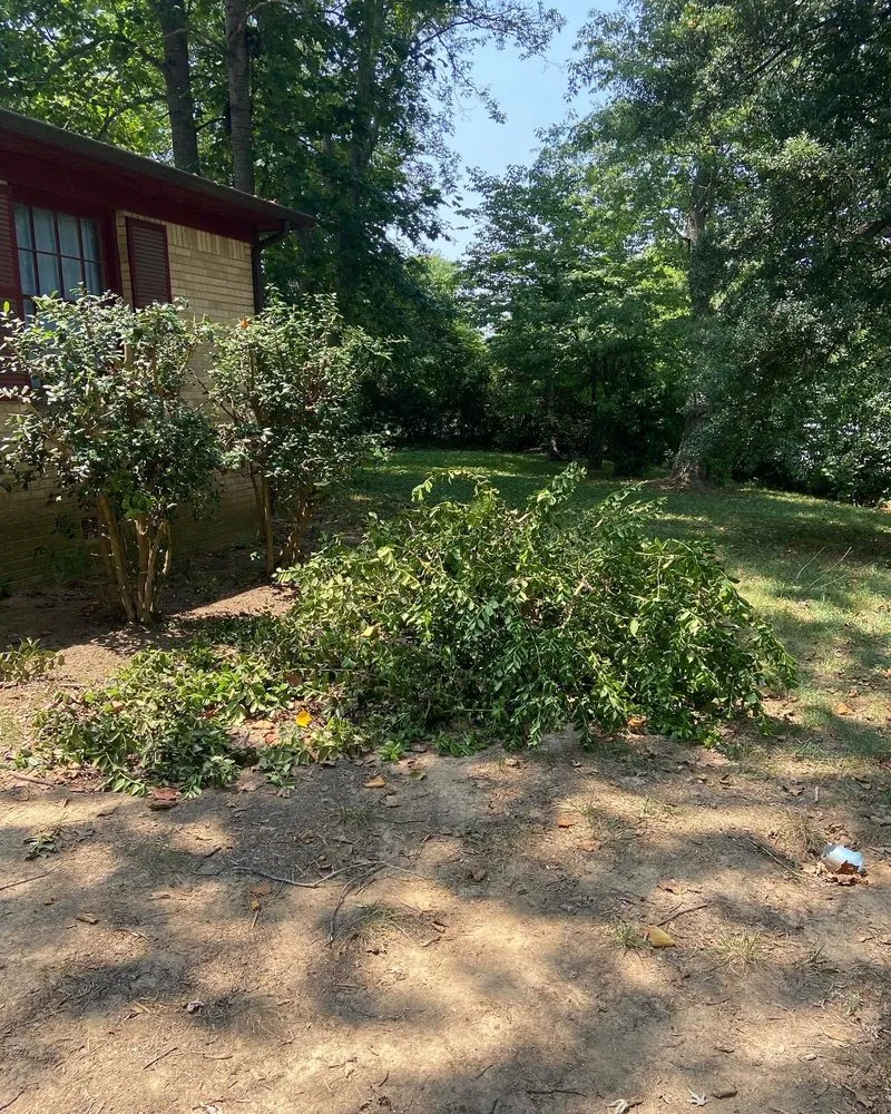 Local yard cleanup service in Clarksville, TN by Keys Kuts