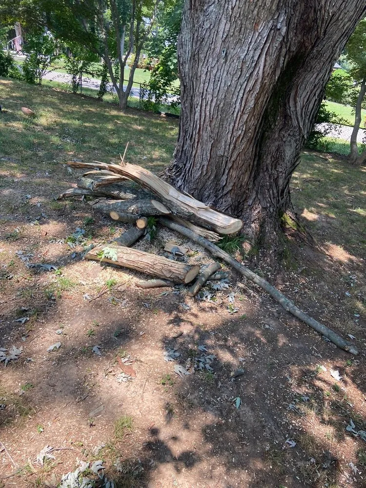 Local lawn mowing service for outdoor upgrades in Clarksville, TN by Keys Kuts