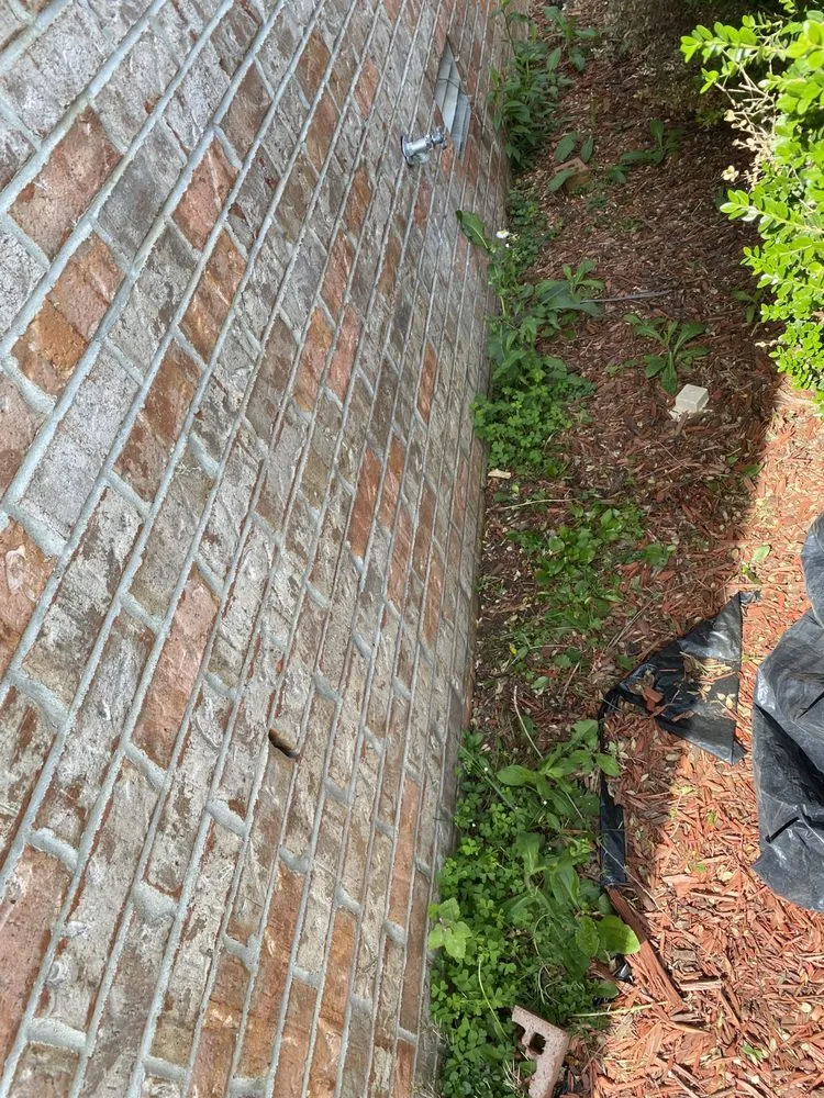 Trusted yard cleanup service experts serving Clarksville, TN - Keys Kuts