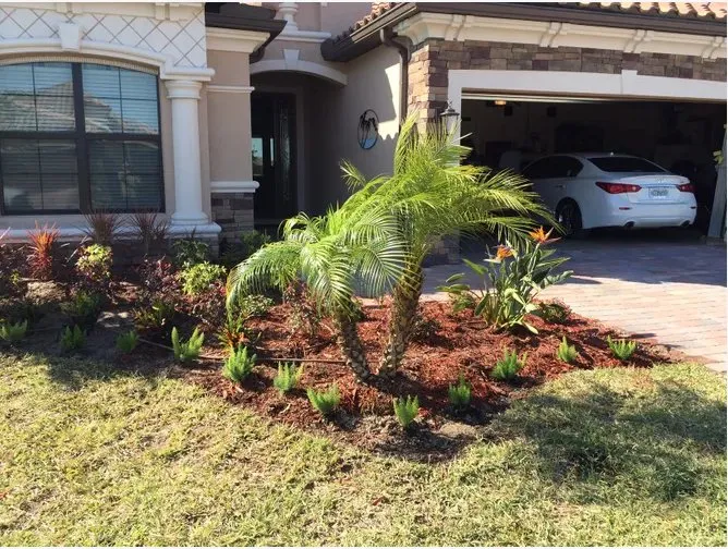 Affordable outdoor landscaping with custom design in Englewood, FL by Keys Landscape Services
