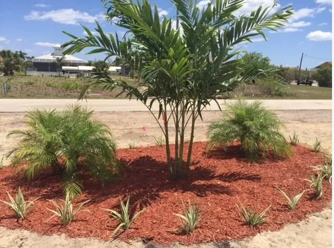 Trusted outdoor landscaping with custom design across Englewood, FL - Keys Landscape Services