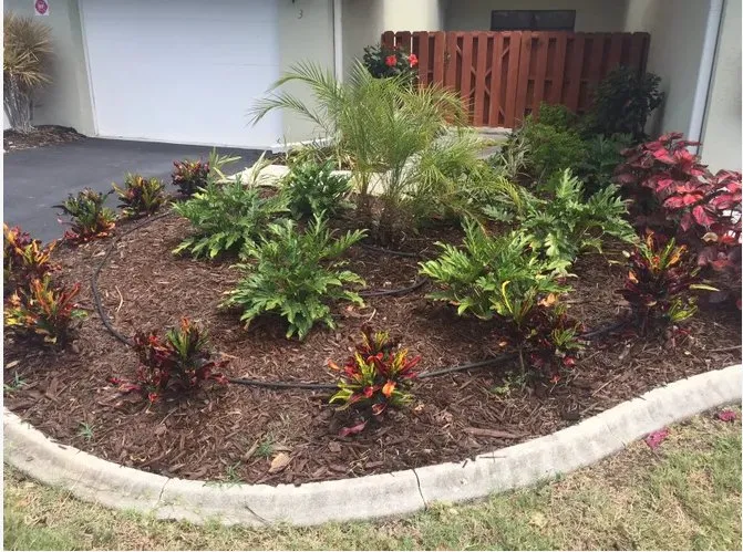 Reliable yard maintenance in Englewood, FL by Keys Landscape Services