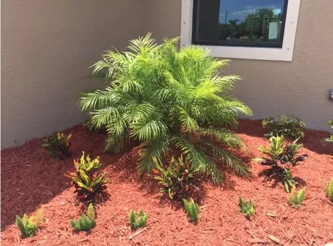 Professional yard cleanup service in Englewood, FL - Keys Landscape Services