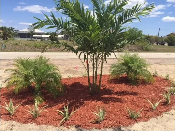 Affordable yard cleanup service experts serving Englewood, FL - Keys Landscape Services