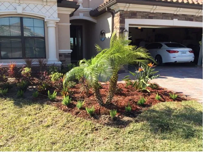 Local lawn care service with custom design in Englewood, FL by Keys Landscape Services