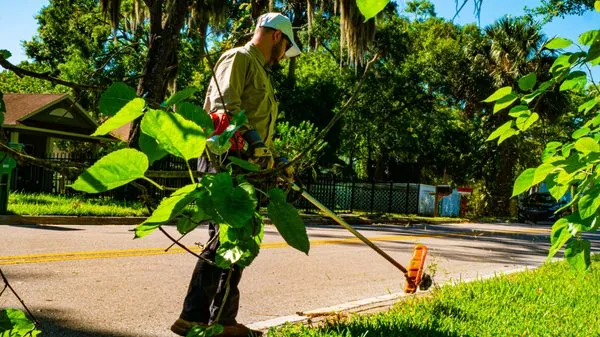 Keys Professional Lawn Care
