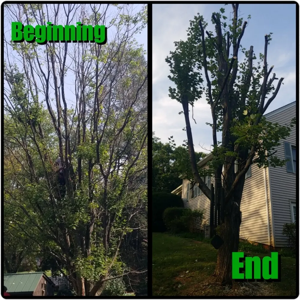 Top-rated lawn mowing service in Boston, VA - Keys Tree & Landscaping