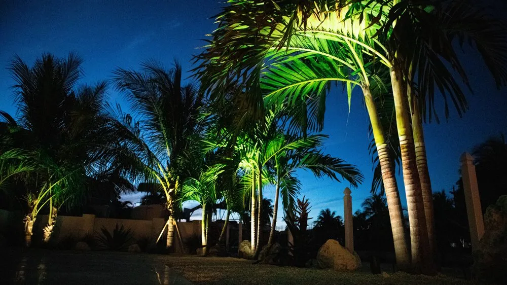 Professional residential landscaping for homes across Islamorada, FL - Keyscape Landscape Design