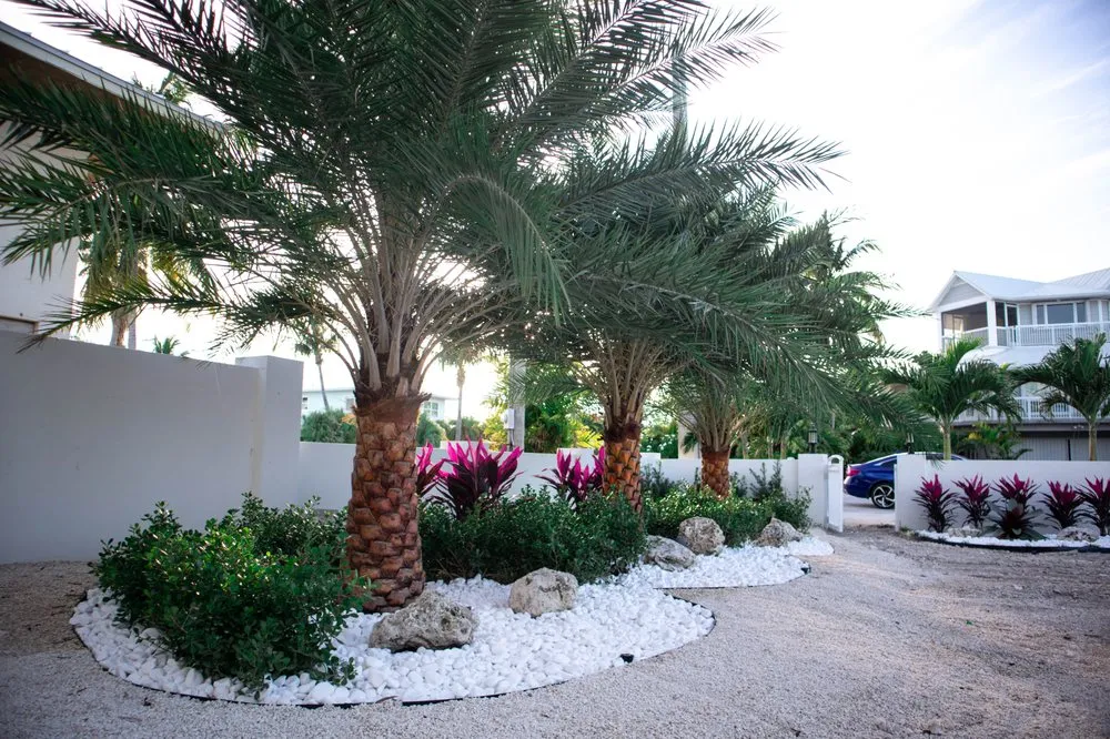 Top-rated landscaping services in Islamorada, FL by Keyscape Landscape Design