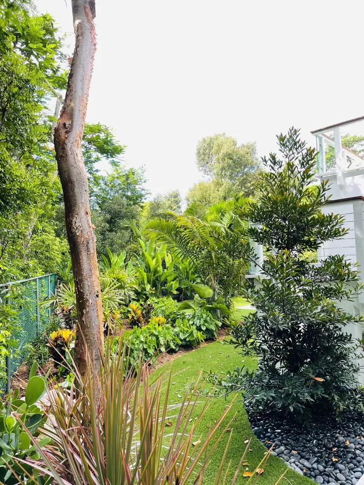 Custom lawn care service for year-round maintenance across Islamorada, FL - Keyscape Landscape Design