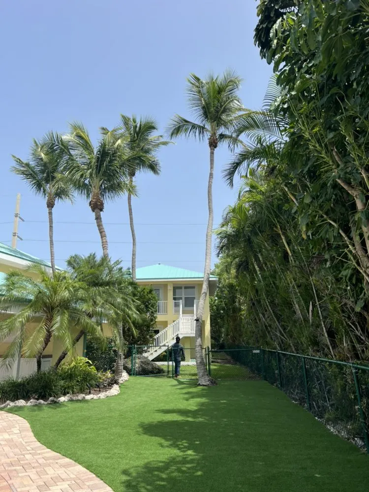 Top-rated yard maintenance in Homestead, FL - Keyscape Maintenance