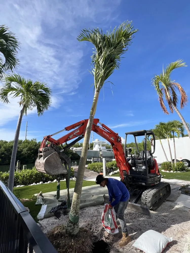 Top-rated landscaping services in Homestead, FL - Keyscape Maintenance