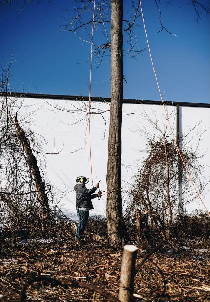 Top-rated residential landscaping for beautiful yards in Camp Hill, PA by Keystone Arborist
