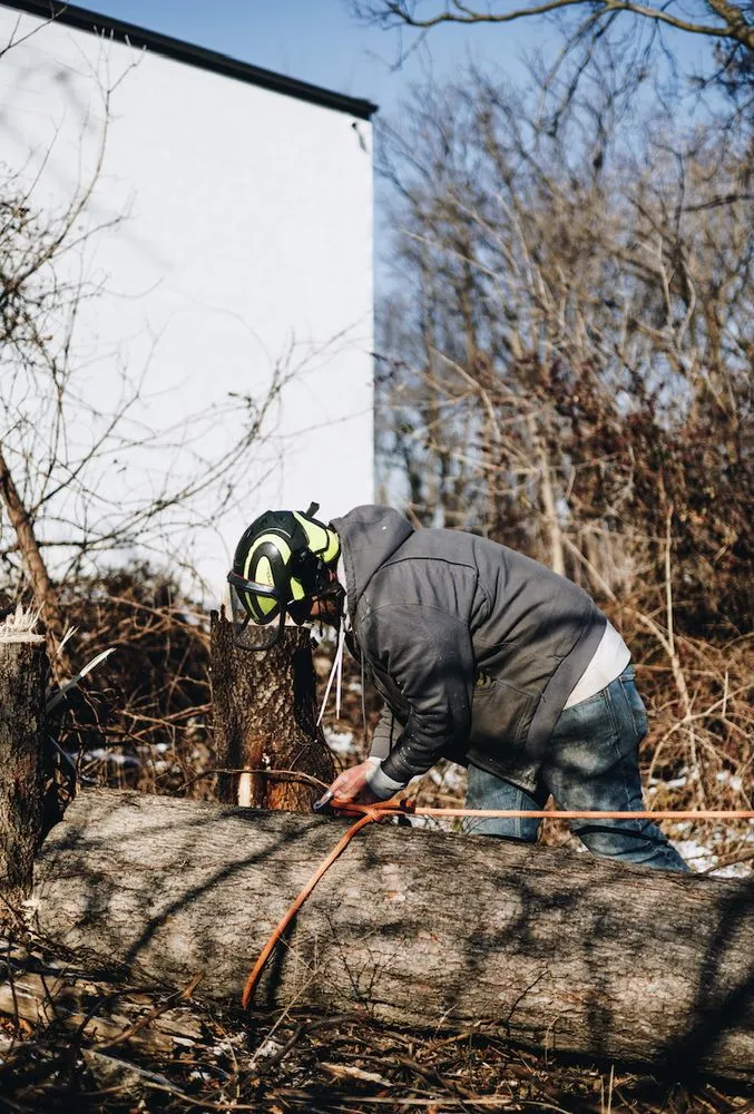 Expert lawn mowing service for homes in Camp Hill, PA by Keystone Arborist