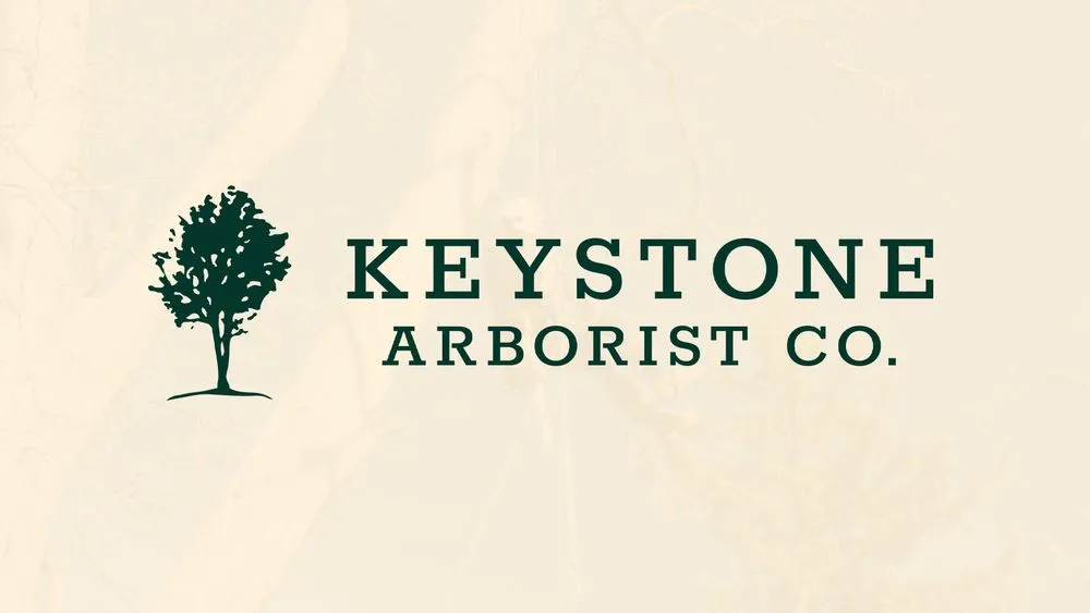 Local landscaping services for beautiful yards across Camp Hill, PA - Keystone Arborist