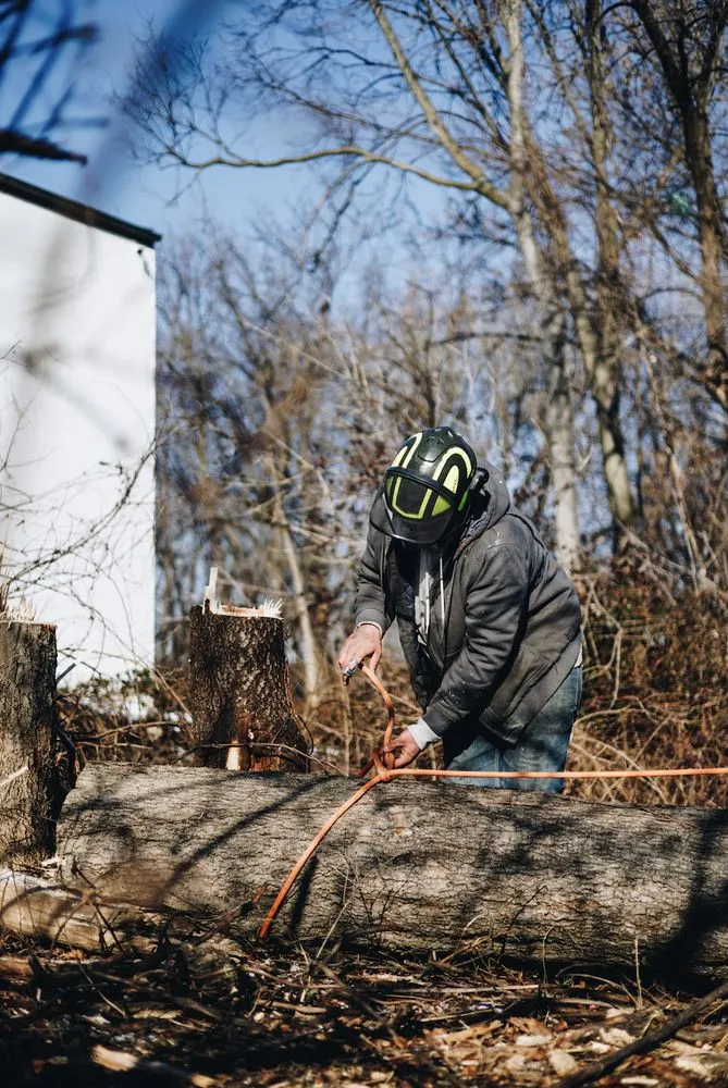 Custom residential landscaping for outdoor upgrades in Camp Hill, PA by Keystone Arborist