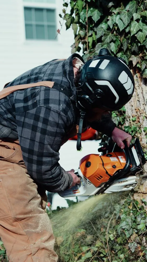 Affordable outdoor landscaping experts serving Camp Hill, PA - Keystone Arborist