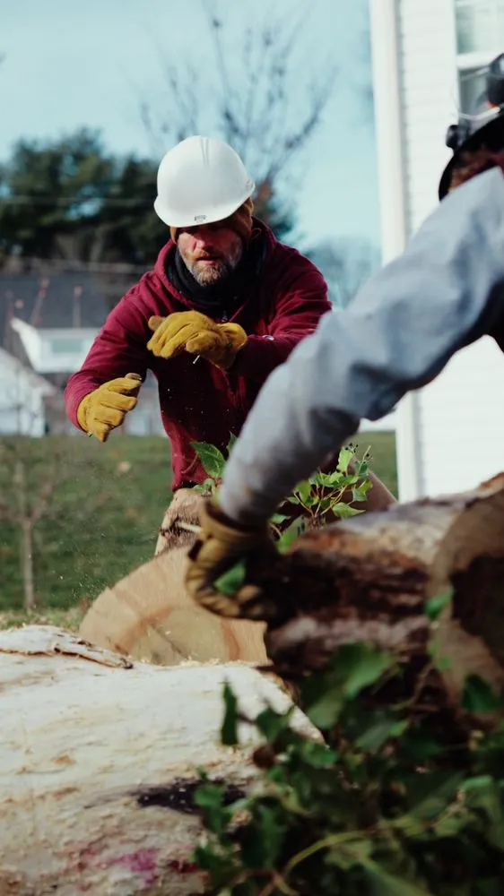 Reliable lawn mowing service in Camp Hill, PA - Keystone Arborist