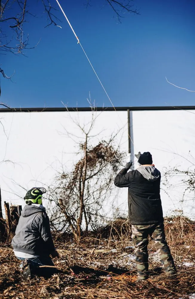 Reliable lawn care service in Camp Hill, PA by Keystone Arborist