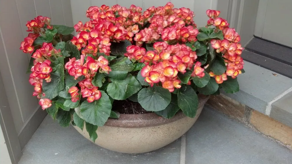 Professional landscape installation with custom design in Wayne, PA by Keystone Gardens Inc