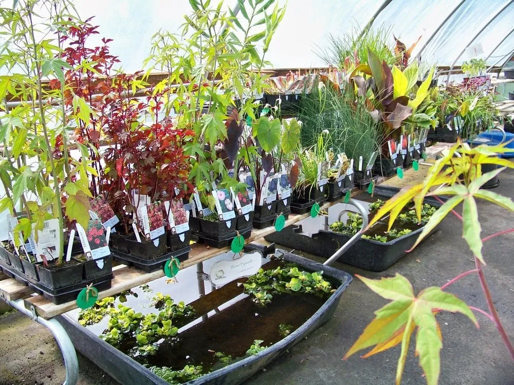 Custom garden landscaping near you across Richmond, IL - Keystone Hatcheries