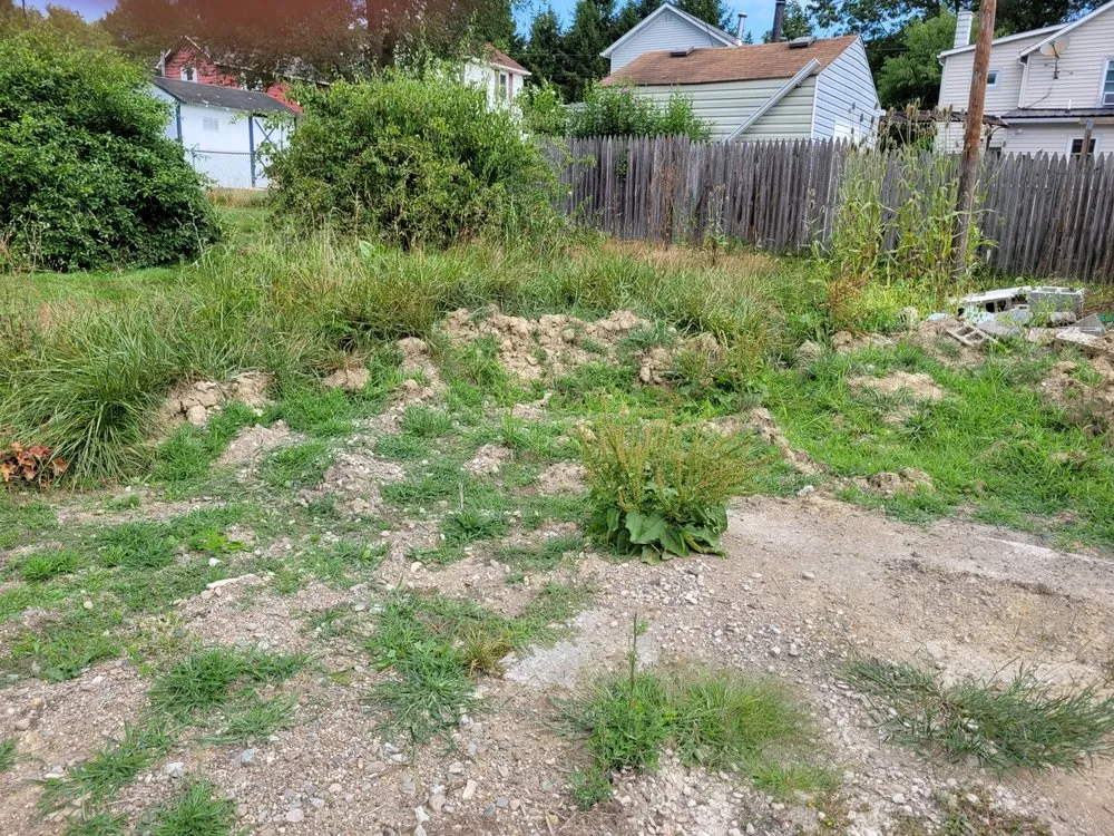 Professional yard cleanup service in Johnstown, PA - Keystone Hauling & Landscaping