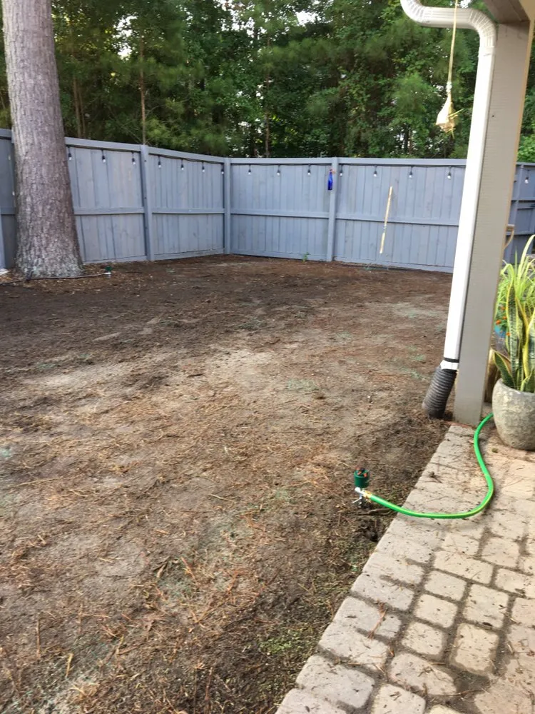 Professional outdoor landscaping in Summerville, SC - Keystone Landscaping & Design