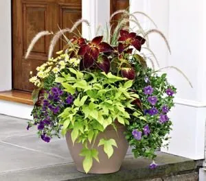 Professional yard maintenance experts serving Upper Black Eddy, PA - Keystone Lawn & Landscape