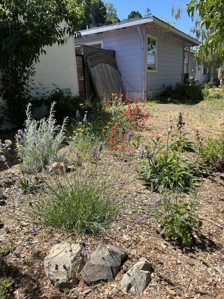 Expert landscaping services for outdoor upgrades in Fairfax, CA by Keystone Permaculture