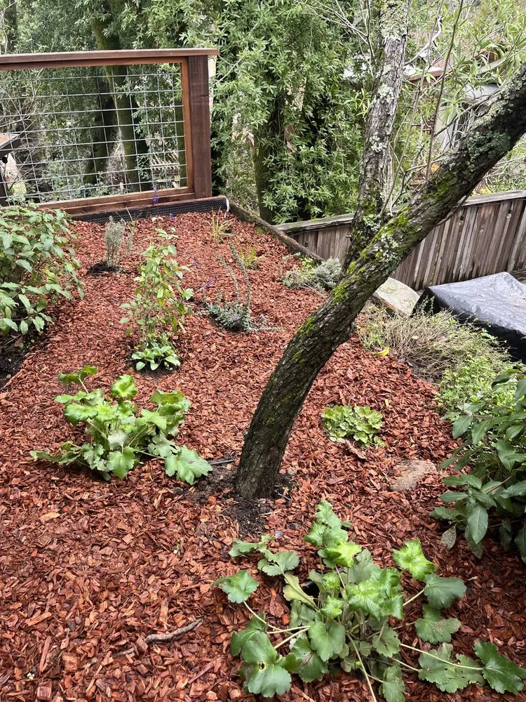 Affordable yard cleanup service in Fairfax, CA - Keystone Permaculture