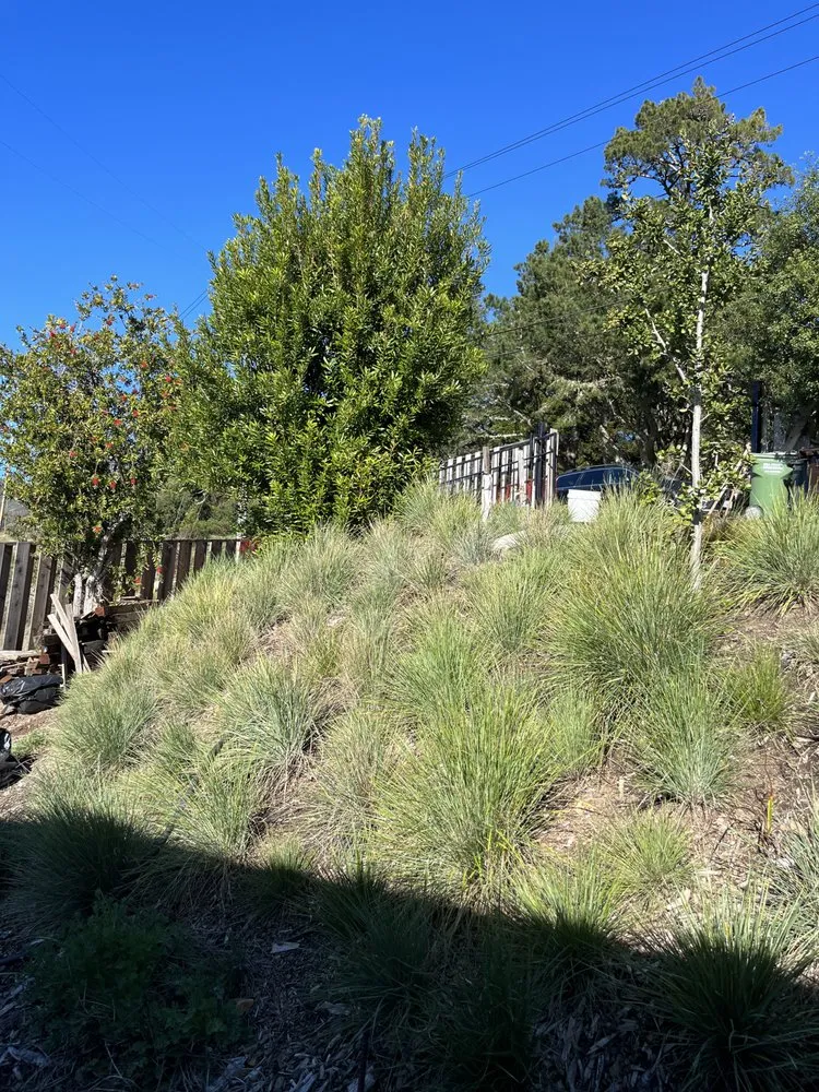 Top-rated yard maintenance in Fairfax, CA - Keystone Permaculture