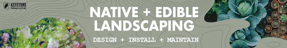 Affordable yard cleanup service in Southampton, PA - Keystone Permaculture