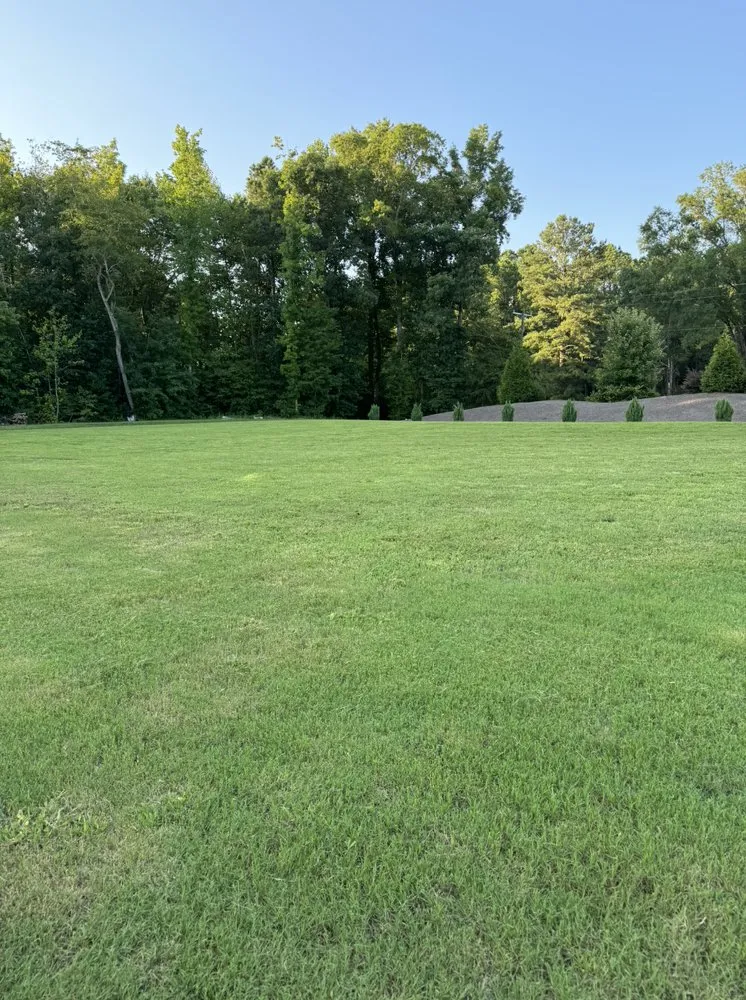 Expert yard cleanup service in Angier, NC - Keystone Property Services