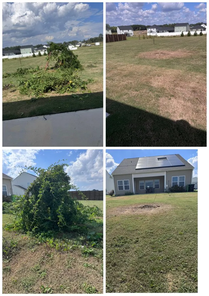 Professional outdoor landscaping in Angier, NC - Keystone Property Services